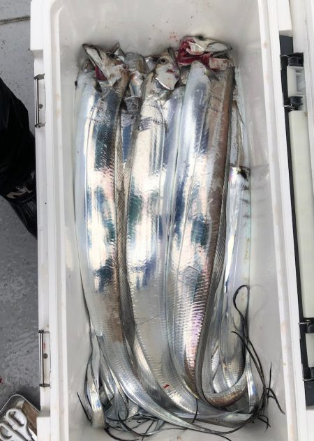 フィッシング　キッタカ 釣果