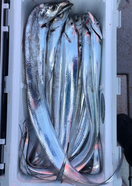 フィッシング キッタカ 釣果