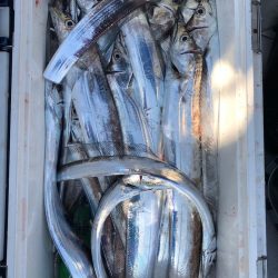 フィッシング キッタカ 釣果