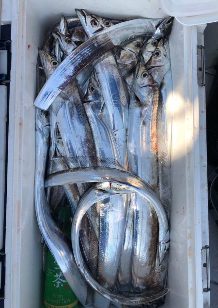 フィッシング キッタカ 釣果