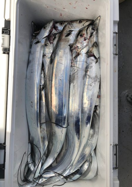 フィッシング　キッタカ 釣果