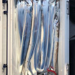 フィッシング キッタカ 釣果