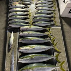 SeaRide(シーライド) 釣果