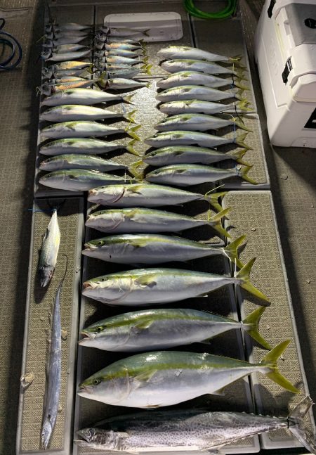 SeaRide(シーライド) 釣果