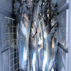 フィッシング　キッタカ 釣果