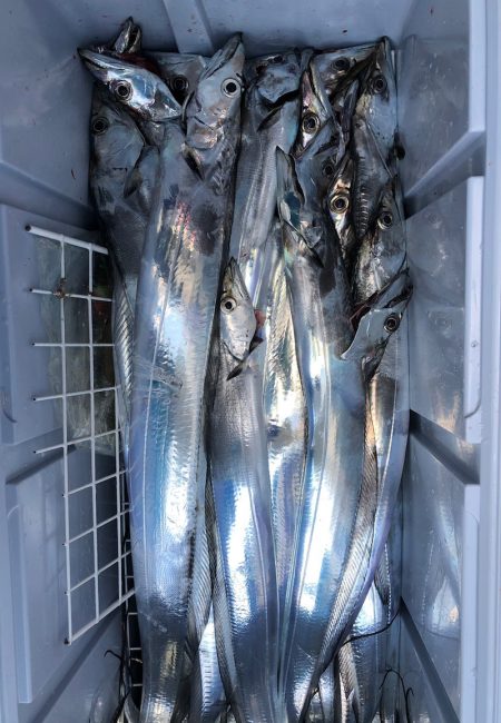 フィッシング　キッタカ 釣果