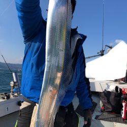 フィッシング　キッタカ 釣果