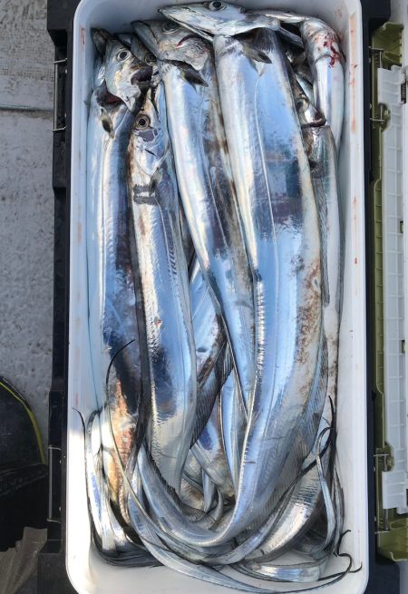 フィッシング　キッタカ 釣果