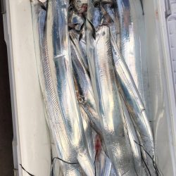 フィッシング　キッタカ 釣果