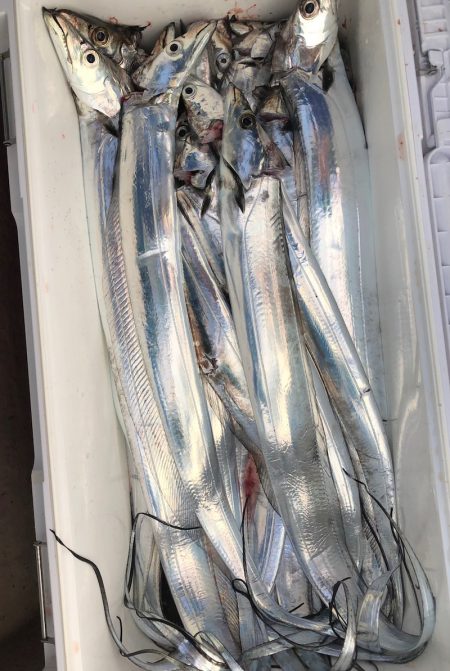 フィッシング　キッタカ 釣果