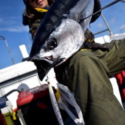 渡船屋たにぐち 釣果