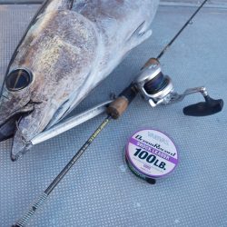 渡船屋たにぐち 釣果