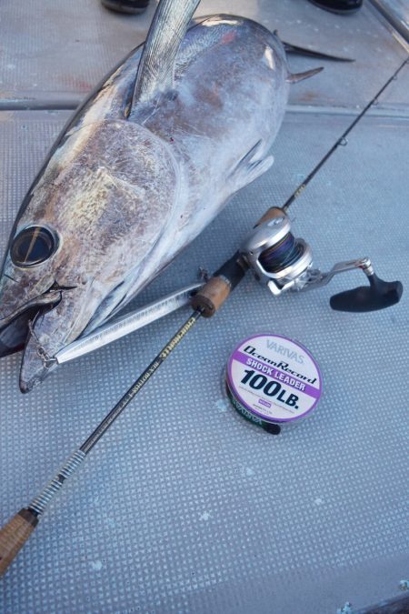 渡船屋たにぐち 釣果