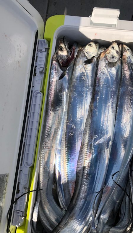 フィッシング　キッタカ 釣果