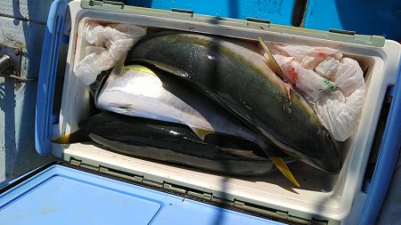 フィッシングガイド りょう 釣果