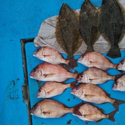 フィッシングガイド りょう 釣果