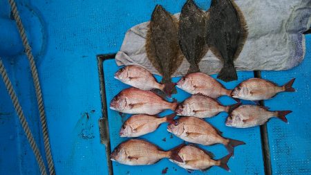 フィッシングガイド りょう 釣果