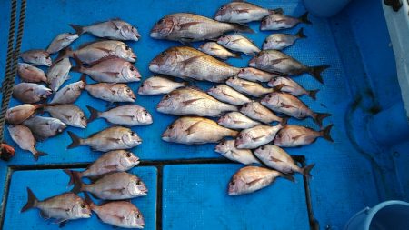 フィッシングガイド りょう 釣果