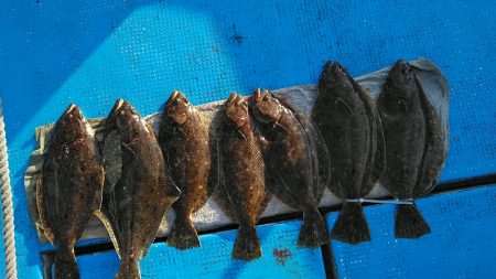 フィッシングガイド りょう 釣果