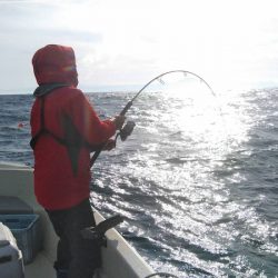 幕島丸 釣果