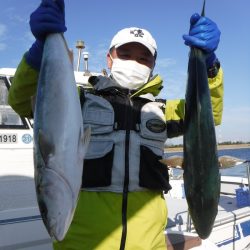 ＪＤＩ　Ｒａｃｉｎｇ　シールズマリンレジャー 釣果