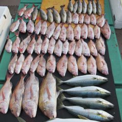 真祐丸 （しんゆうまる） 釣果