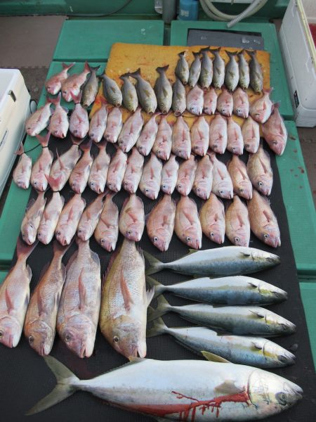 真祐丸 （しんゆうまる） 釣果