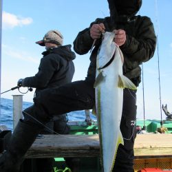 真祐丸 （しんゆうまる） 釣果