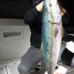 JDI Racing シールズマリンレジャー 釣果