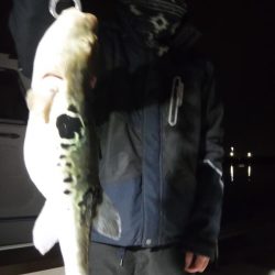 JDI Racing シールズマリンレジャー 釣果