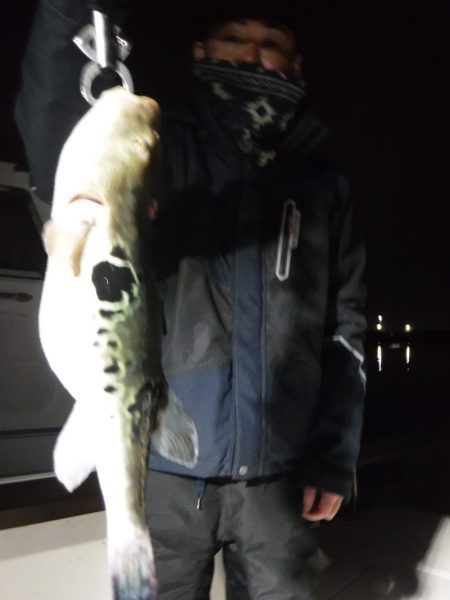 JDI Racing シールズマリンレジャー 釣果