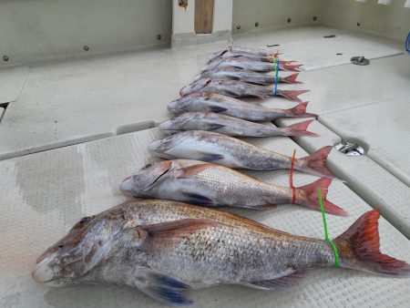 KIM Fishing Guide Ser…