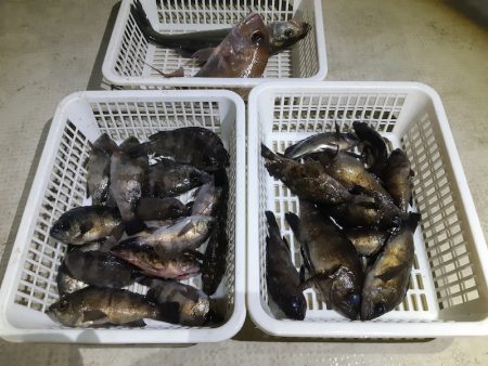 KIM Fishing Guide Ser…