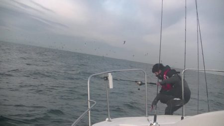 JDI Racing シールズマリンレジャー 釣果