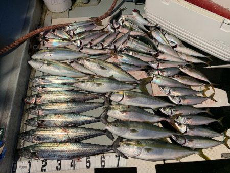 オーシャンスター(Ocean Star) …