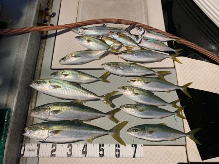 オーシャンスター(Ocean Star) …