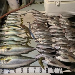 オーシャンスター(Ocean Star) 釣果