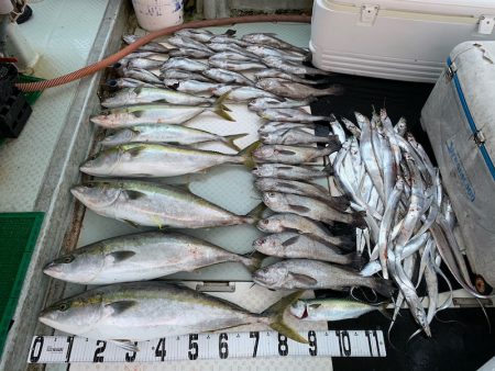 オーシャンスター(Ocean Star) …