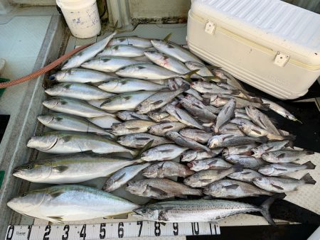 オーシャンスター(Ocean Star) …