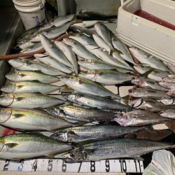 オーシャンスター(Ocean Star) 釣果