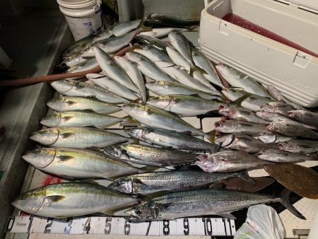 オーシャンスター(Ocean Star) …