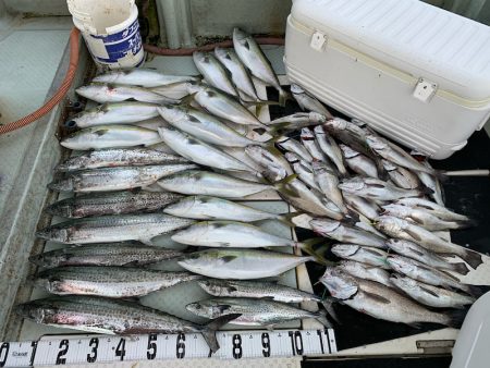 オーシャンスター(Ocean Star) …