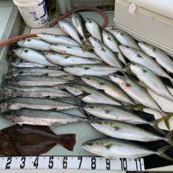 オーシャンスター(Ocean Star) 釣果