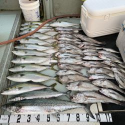 オーシャンスター(Ocean Star) 釣果