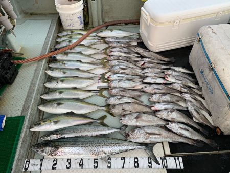 オーシャンスター(Ocean Star) …