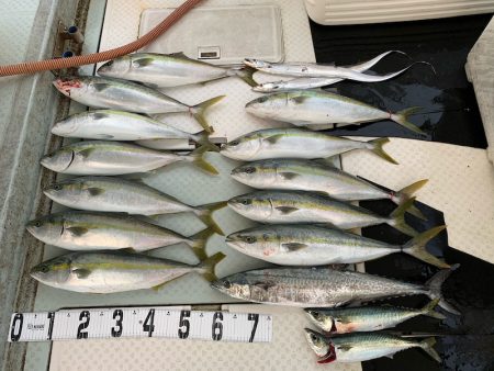 オーシャンスター(Ocean Star) …