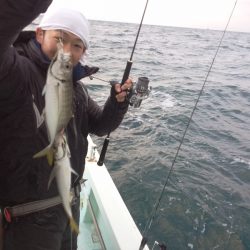 ひな丸 釣果