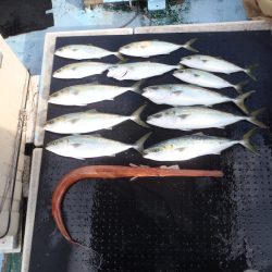 金比羅丸 釣果
