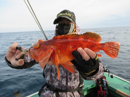 真祐丸 （しんゆうまる） 釣果