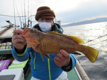 真祐丸 (しんゆうまる) 釣果